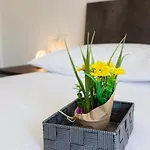 Terre Di Gallura 3*